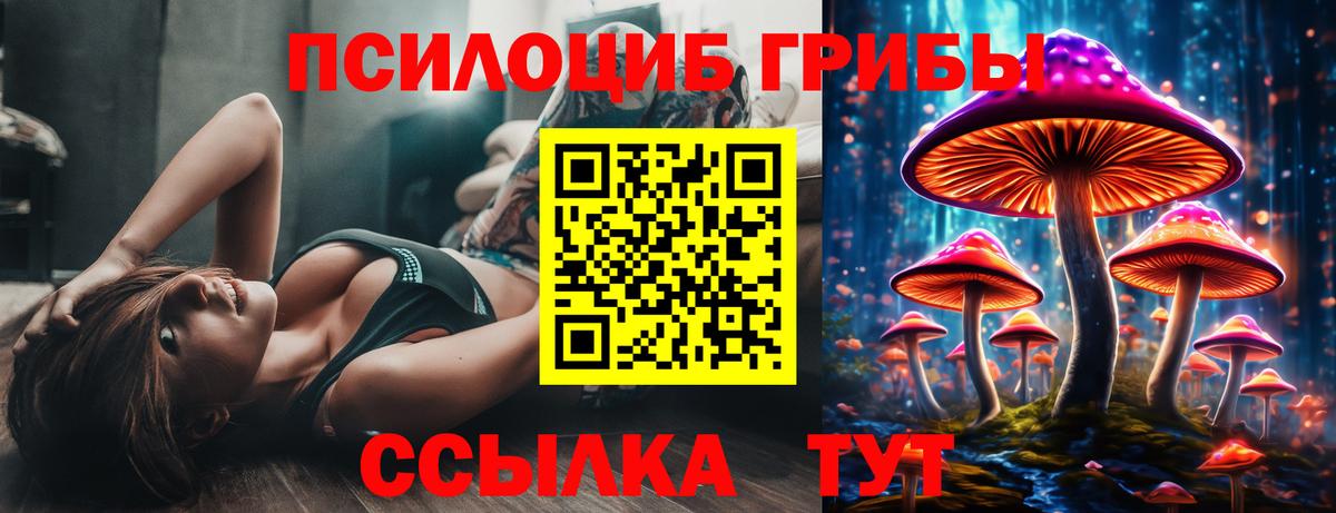 Наро-Фоминск  Псилоцибиновые грибы Cubensis  Вход с VPN  Галлюциногенные грибы Magic Shrooms 