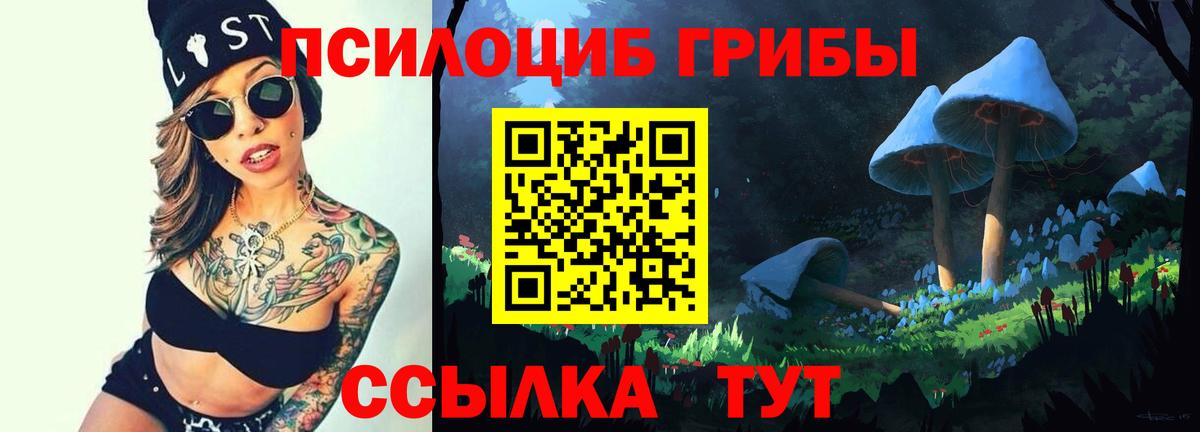 Галлюциногенные грибы прущие грибы Наро-Фоминск